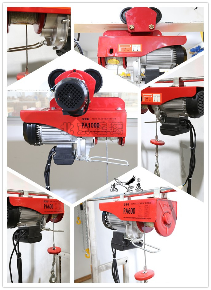 凌鷹微型電動(dòng)葫蘆